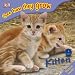 Kitten (See How They Grow)