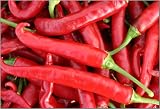 South Devon Chilli Farm Chilli Growing Kit - all you need to grow chilli plants presented in a stunning gift box.