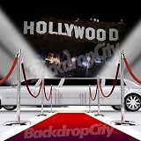 10x20 Hip Hop Rap Hollywood Limo Background Backdrop