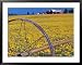 Daffodil Farm in Willamette Valley, Oregon, USA Framed Art Poster Print by Janis Miglavs, 39x31