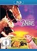 Ein Schweinchen namens Babe (DVD)