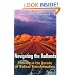 Navigating the Badlands: Thriving in the Decade of Radical Transformation
