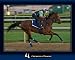 Linda Shier Churchill Thoroughbred 13 x 19 Glossy Print with Single Mat