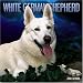 German Shepherds, White 2006 Calendar