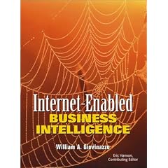 Internet-Enabled Business Intelligence