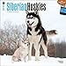 Siberian Huskies 2015 Wall Calendar