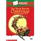 Holiday Movie