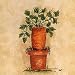 Carrot Art Poster PRINT Mary Hughes 9x9