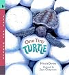 One Tiny Turtle