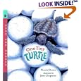 One Tiny Turtle (Read & Wonder)