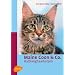 Maine Coon & Co: Halblanghaarkatzen
