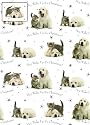 Wake Up It's Christmas Labrador & Kitten Christmas Wrapping Paper