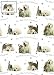 Wake Up It's Christmas Labrador & Kitten Christmas Wrapping Paper