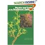 Shrubs and Trees of the Southwest Uplands (Popular series - Southwest Parks and Monuments Association ; no. 19)