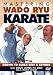 Mastering Wado-Ryu Karate