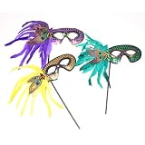 Mardi Gras Feather Mask on a Stick Party Pack