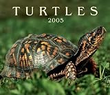 Turtles 2005