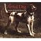 Dog Portraits and Dog Paintings - Canvas Dog Studio