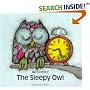 The Sleepy Owl