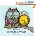 The Sleepy Owl