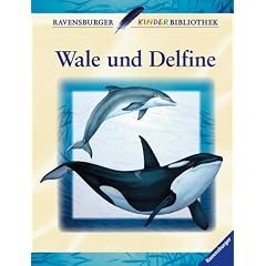 Wale und Delfine