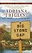 Big Stone Gap (Big Stone Gap Novels)