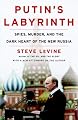 Putin's Labyrinth: Spies, Murder, and the Dark Heart of the New Russia