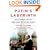 Putin's Labyrinth: Spies, Murder, and the Dark Heart of the New Russia