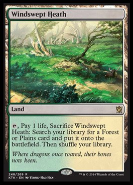 Magic: the Gathering - Windswept Heath (248/269) - Khans of Tarkir - Foil