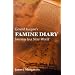 Gerard Keegan's Famine Diary: Journey to a New World