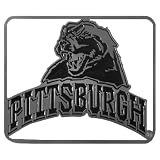 Alfred Hitch Cover 10161 Hitch Cover Pittsburgh