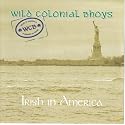 Irish in America