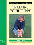 Training Your Puppy
