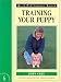 Training Your Puppy