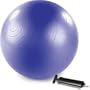 Stott Pilates Stability Ball with Pump (75cm, Purple)