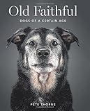 Old Faithful: Dogs of a Certain Age