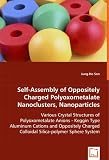 Self-Assembly of Oppositely Charged Polyoxometalate Nanoclusters, Nanoparticles
