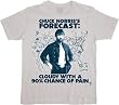 Chuck Norris Forecast Cloudy With a Chance of Pain Silver T-shirt Tee