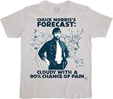 Chuck Norris Forecast Cloudy With a Chance of Pain Silver T-shirt Tee