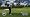 Tiger Woods PGA Tour 11