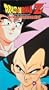 Dragon Ball Z -  World Tournament - The Draw (Uncut) [VHS]