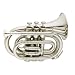 Musical Instruments : Cecilio Nickel Plated Bb Pocket Trumpet w/ Case and Accessories
