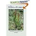 The Ferns of Florida: A Reference and Field Guide (Reference and Field Guides) (Reference and Field Guides)