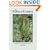 The Ferns of Florida: A Reference and Field Guide (Reference and Field Guides)