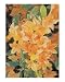 Ablaze on the Blue Ridge Botanical Giclee Poster Print by Patricia Ackor, 16x20