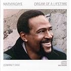 Click here to buy Dream of a Lifetime by  Marvin Gaye .