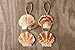 Hinterland Trading 4 Seashell Nautical Christmas Ornaments