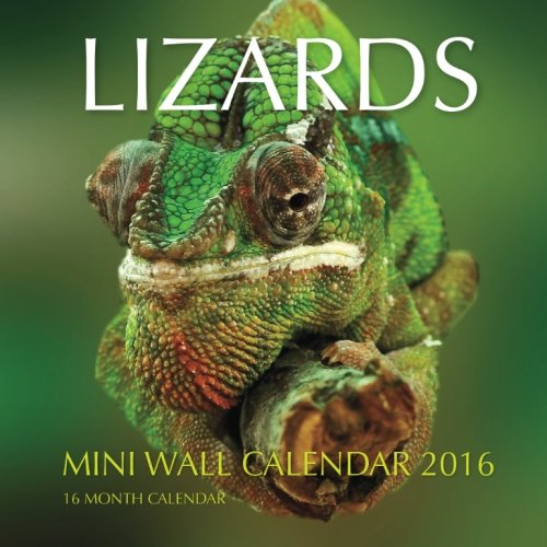 Lizards Mini Wall Calendar 2016: 16 Month Calendar