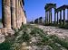 The Cardo Colonnade and Portico of the 1st Century Site of Apamea, Apamea, Tartus, Sy...
