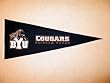 Brigham Young University Cougars - NCAA College Traditions (Pennants)